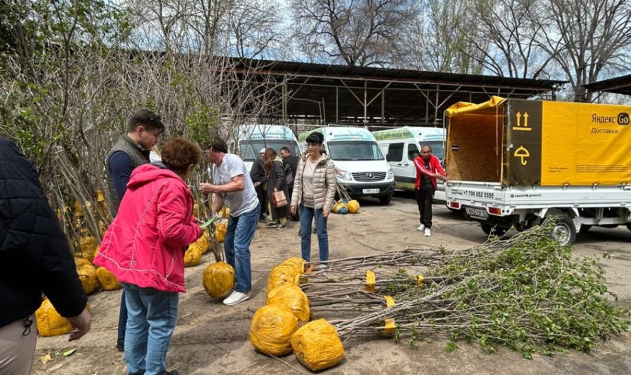 В Алматы продолжаются работы в рамках республиканской программы “Таза Қазақстан“